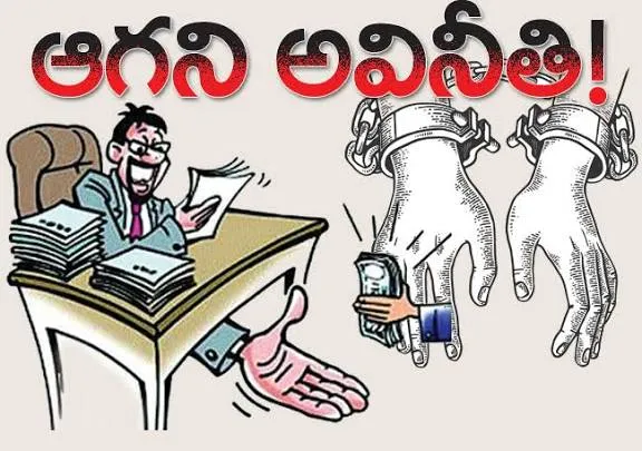 WhatsApp Image 2025-09-24 at 5.44.13 PM