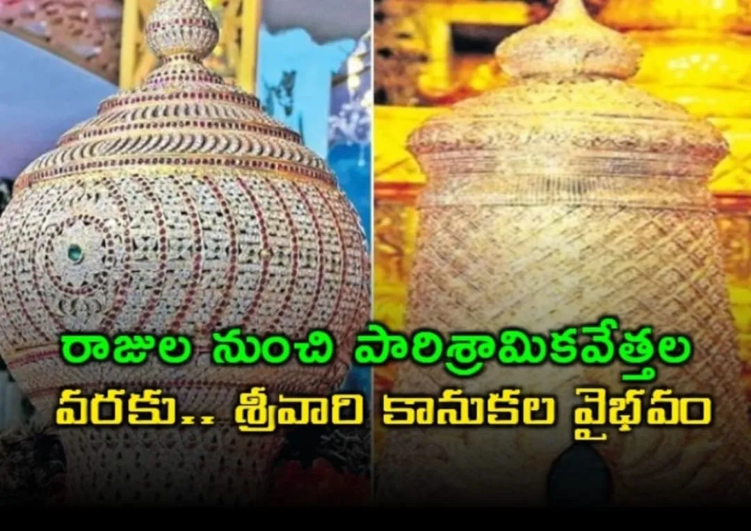 WhatsApp Image 2025-10-01 at 6.27.12 PM