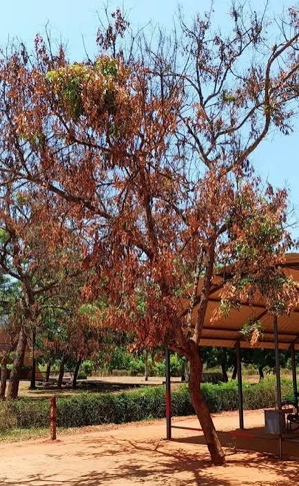 WhatsApp Image 2025-10-22 at 4.04.45 PM (1)