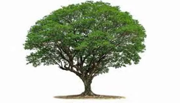 WhatsApp Image 2025-10-22 at 4.04.45 PM