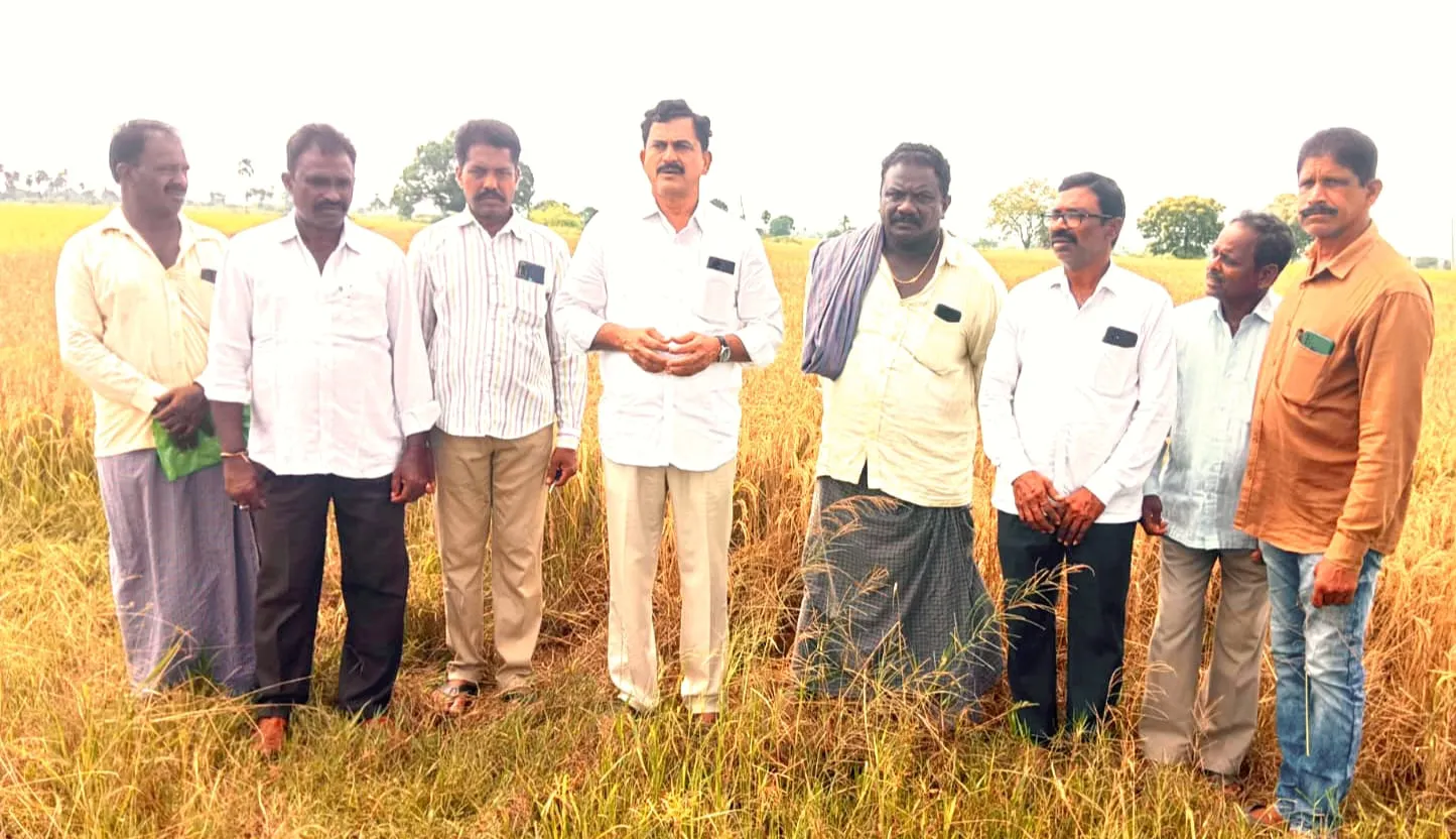 WhatsApp Image 2025-10-26 at 4.42.33 PM