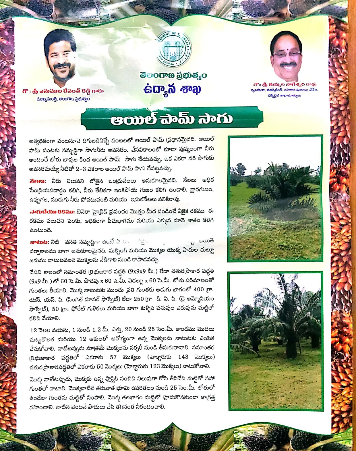 WhatsApp Image 2025-10-29 at 6.32.46 PM