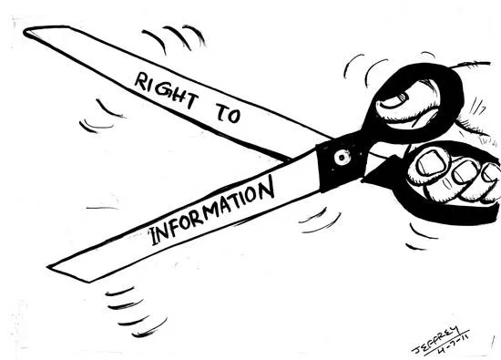 WhatsApp Image 2025-10-30 at 3.59.02 PM (1)