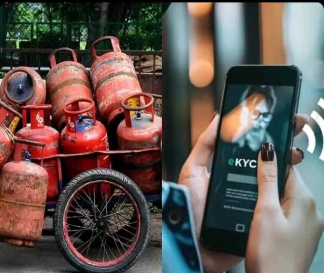 WhatsApp Image 2025-10-31 at 6.24.07 PM