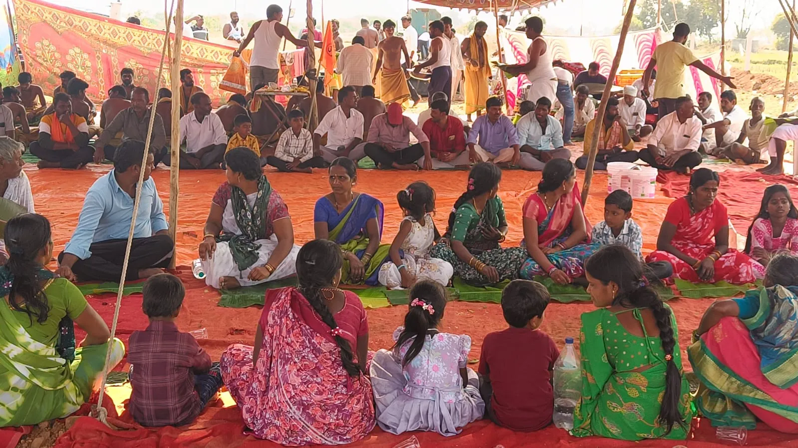 WhatsApp Image 2026-02-11 at 17.24.00