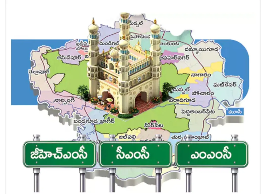 WhatsApp Image 2026-02-11 at 18.47.52