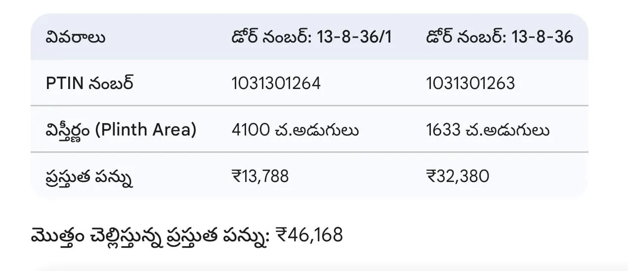 WhatsApp Image 2026-02-25 at 18.59.56