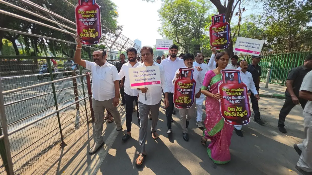 WhatsApp Image 2026-03-24 at 19.19.17