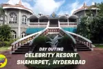 సెలెబ్రిటీ మాఫియా.... 
