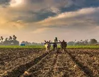 నేటి భారతం :