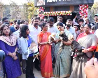వీధి కుక్కపిల్లలను దత్తత తీసుకోండి: మంత్రుల పిలుపు