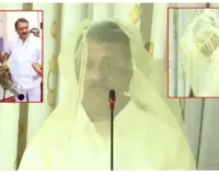 విశ్వనగరానికి 'దోమ'పోటు!