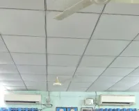 ప్రతి ధాన్యం గింజను ప్రభుత్వం కొనుగోలు చేస్తుంది