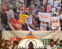 హైదరాబాదులో కాక్రోచ్ ల హల్చల్..!