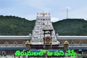 తిరుమలలో  సోషల్ మీడియా రీల్స్‌ చిత్రీకరణపై టీటీడీ హెచ్చరిక