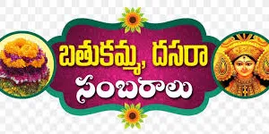 పండుగలు ప్రమాదాలు కొనితేవద్దు.. 