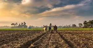 నేటి భారతం :